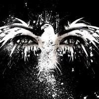 harun  (@gercekzevkler) 's Twitter Profile