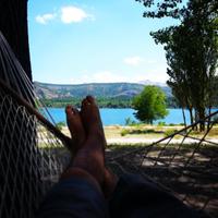 Gürhan Turan (@gurhantrn) 's Twitter Profile