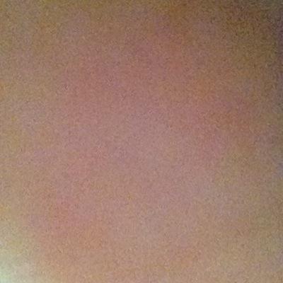 NemoSteven's profile picture. 