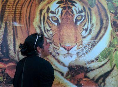 khurafati_ladki's profile picture. Crazy #Aries.....i will surely follow you.