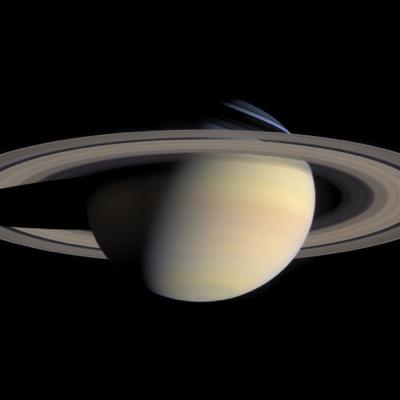 randymarzh's profile picture. 