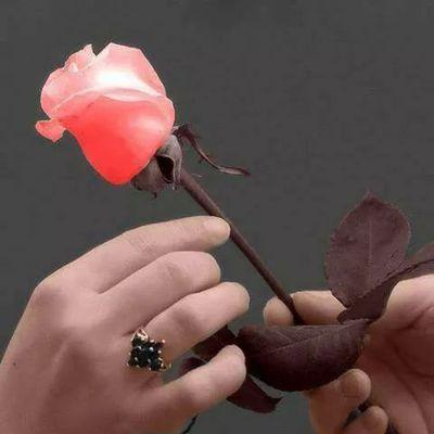 ابحث عن انثى صادقه رومنسيه عاطفيه تحب بجد وتقدر من يحبها واذا هناك نصيب نتزوج فهذا افضل