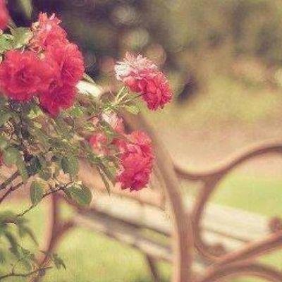 m1oh1ad's profile picture. لاتدري لعل الله يحدث بعد ذلك أمرا