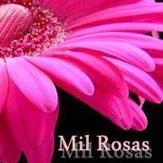 mi vida y pasion es mi floristeria. vivo y respiro por las flores y el diseño floral , espero poder trasmitirlo.