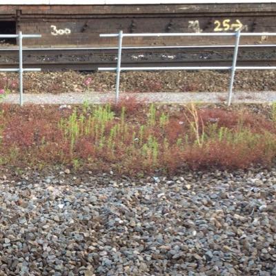 jeppoceuzi's profile picture. Life is all about suffering.