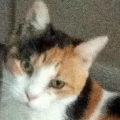 Rosie, Rememberedさんのプロフィール画像