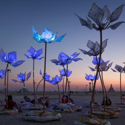 jane_whitehouse's profile picture. Where's the magic?