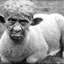 Tim Borders - @Spectres12345 - Twitter