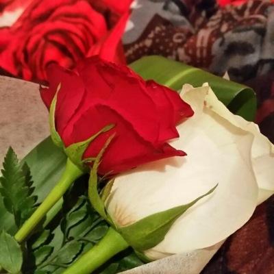 ohoud1434 Profile Picture