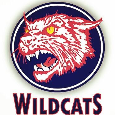 Official ball hockey account for the Wildcats Ball Hockey Club 
plays in the Toronto CBC Play On road hockey tournment