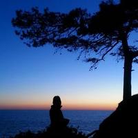 Laura Gort (@gortlaura) 's Twitter Profile Photo