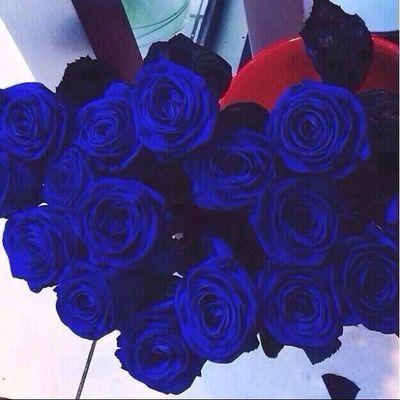 nfs94_'s profile picture. 