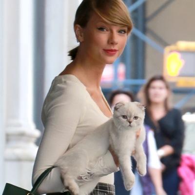 _OliviaBSwift13's profile picture. hi everyone. I'm Oliva B, Taylor Swift is my mommy and Meredith Grey is my big sister. 
@taylorswift13