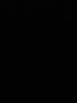 Lamaeah1 Profile Picture