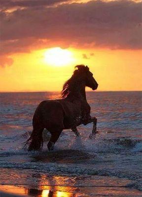 franciaperei's profile picture. 