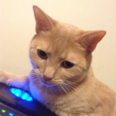 cmschwartz's profile picture. 