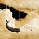 Caleb Abel - @Cabel13 - Twitter