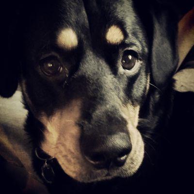 Aly_n_smlDoses Profile Picture