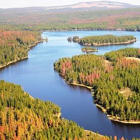 Help Us Create A Sustainable Environment for Canada!