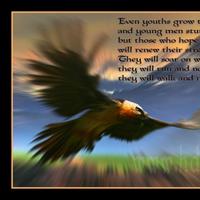 Truly Inspirational  (@trulyinspiratio) 's Twitter Profile Photo