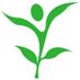 Tu Salud Emocional (@cuida_emocional) Twitter profile photo