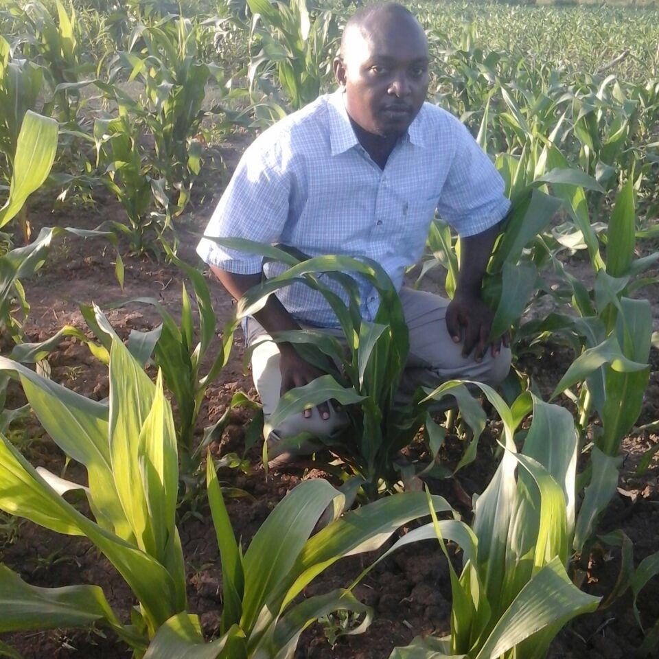 MjoshDaniel's profile picture. 