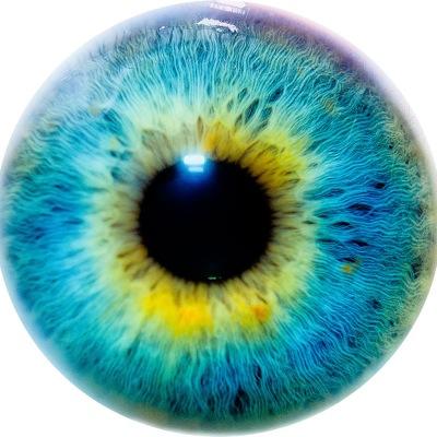 Your source of the most fascinating psychology facts.  Business inquiries: psychologyfactoids@gmail.com