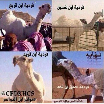 عبدالله الدوسري.وادي الدواسر