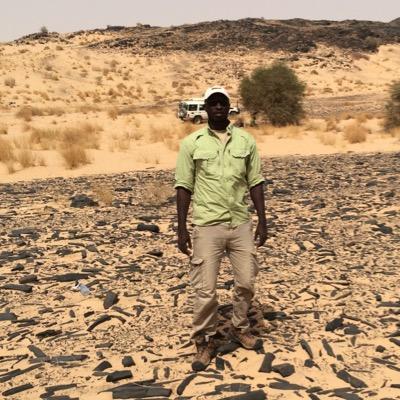 Geologist
