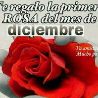 Te quiero iam y te amo julio ustedes dos son el amor de me vida