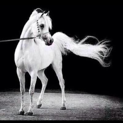 meejo1405's profile picture. كل ماحولت أجيهم في خباثه ،،وأنتقم لطيب بالطبع السخيف،،أذكر أن أبوي ورثني ثلاثه،،الكرم والطيب والقلب النظيف،،