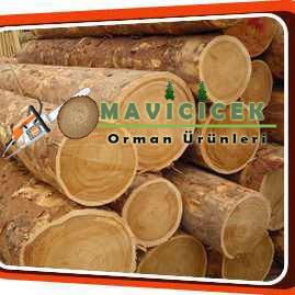 Mavicicek Orman Ürünleri