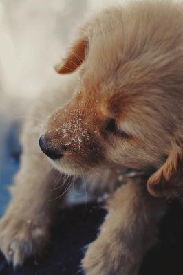 JuliaWigger's profile picture. 