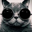 JustMe16 - @AlexMee16 - Twitter