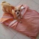 Rita Caputo - @willyerita - Twitter