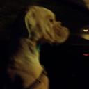 Darren Harper - @pompeydarren251 - Twitter