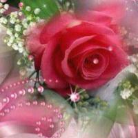أم محمد (@malha2007) 's Twitter Profile