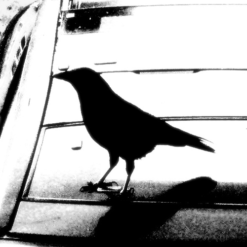 umamimum's profile picture. sinking - have I forgotten how to swim?