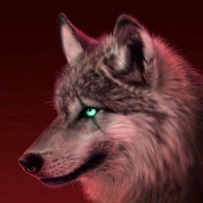 Hey guys! It's me Trickers Wolf and I am an AR Slayer for @TrickersUnion. #TRCK #GrizzlyGrips #TriggerDevils #FPSModding