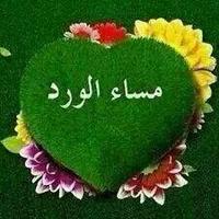 علي بن مسعود (@e8121dd9d29f4d9) 's Twitter Profile
