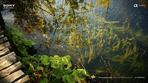 marianaMedranoR's profile picture. ♥♥ONE DIRECTIO♥LOUIS TOMILSON