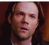 ThatMooseTho's profile picture. 