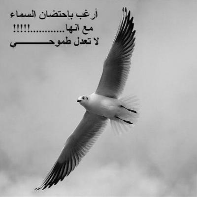 معلمة فيزياء // مهتمة بقضايا تطوير الجيل الواعد// مكة الخير// ام لخمسة ابطال