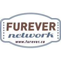 Pet parents and dog lovers supporting dog rescue - online magazine, community & tv show devoted to helping foster dogs and rescue dogs find Furever Home!