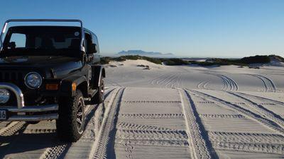 Fatbobbilly's profile picture. Time heels everything. Give time, time.