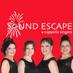 Sound Escape Quartet (@sescapequartet) Twitter profile photo