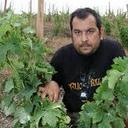 fredi torres - @freditorres11 - Twitter