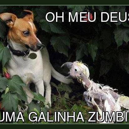 _Humorlandia's profile picture. 