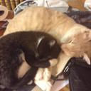 Devin Gleason - @iAmSparta34 - Twitter