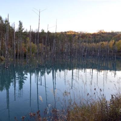 yas_pre's profile picture. MTG用アカウント。フォーマットはモダン(ジャンド)&レガシー(デスタク、デルバー, ANT),EDH。晴れる屋、東京MTGあたりに出現します。